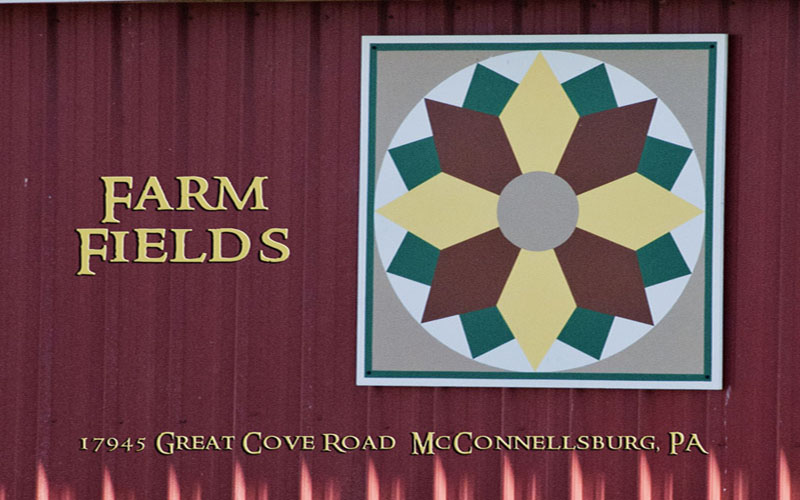 #48 Farm Fields