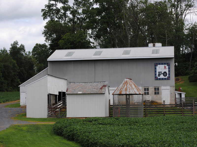 #77 Faithful Ferguson on the Farm